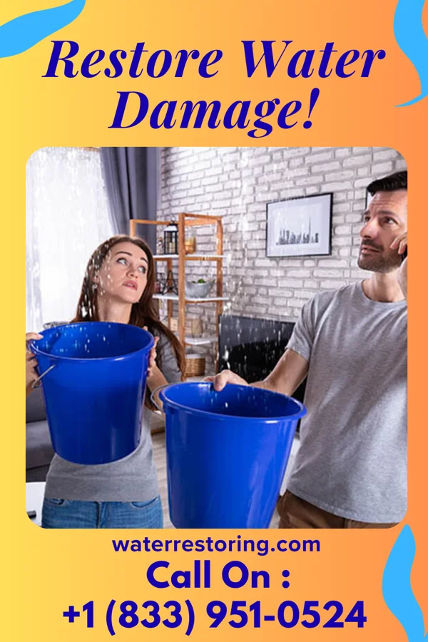 water restoration Horizon Water Mitigation Experts Carolina Forest