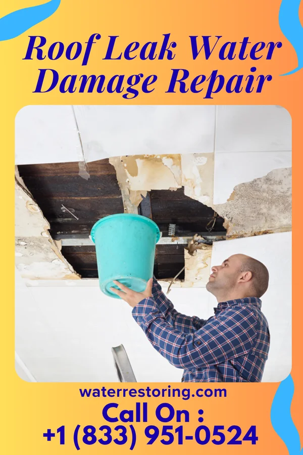 Roof Leak Water Damage Repair in Carolina Forest, SC